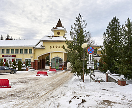 Самый большой участок в Соснах район 