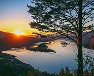 Участок в сосновом бору с видом на Усть -  Ману