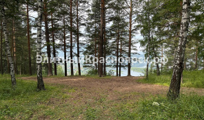 Участок в сосновом бору с видом на Усть -  Ману цена 6000000.00 Фото 3.